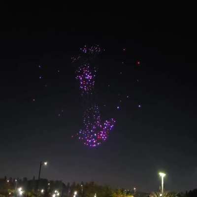 Hoyoland KR said: Let's make Neu's trauma a drone show! 