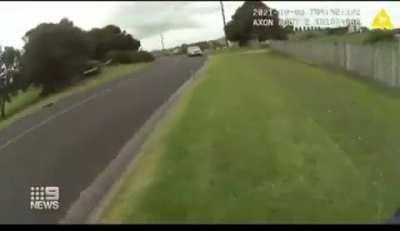 Man attacks cop with metal baseball bat