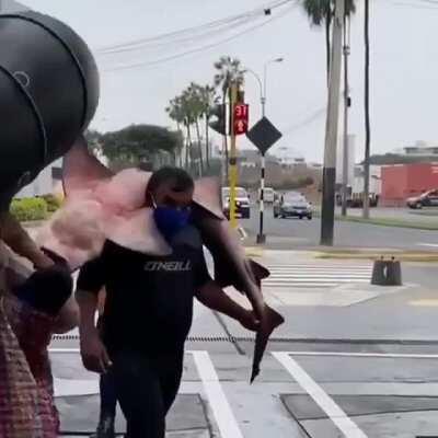 Casually walking with your last catch