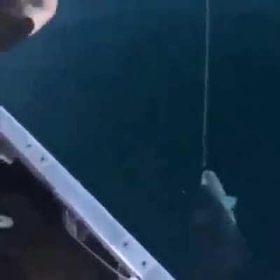 Russian Fishing 🎣