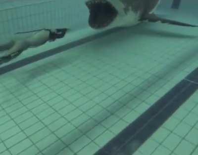 This makes me so uncomfortable.