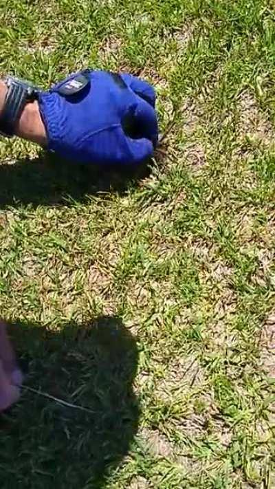 Este video me lo pasó un amigo de Viedma, Río Negro