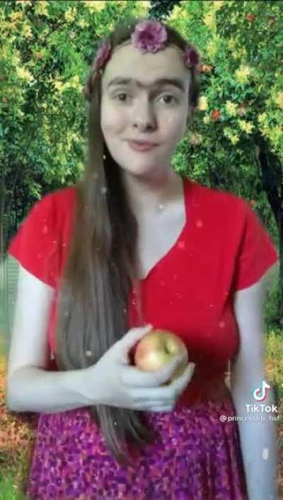 who ordered cinderella from wish?