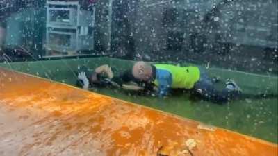Human Bro Jumps in Gator Pit When Keeper Attacked