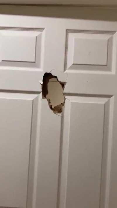 Blursed_elmo (dunno if it's a repost)