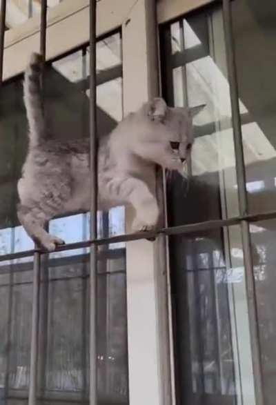 Professional stutnt performer, don't try at home.