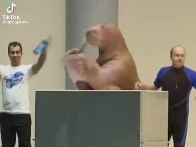 My opinion on Chris Tyson from mr beast