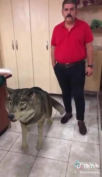 Ben burdan &ccedil;ıkamıyorum