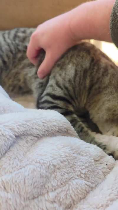 Earl putting in Work!