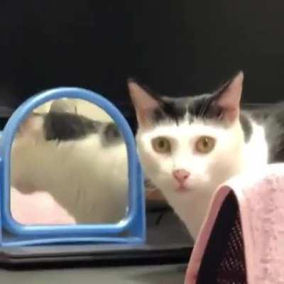 He seems to have realized something