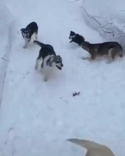 There was an attempt.