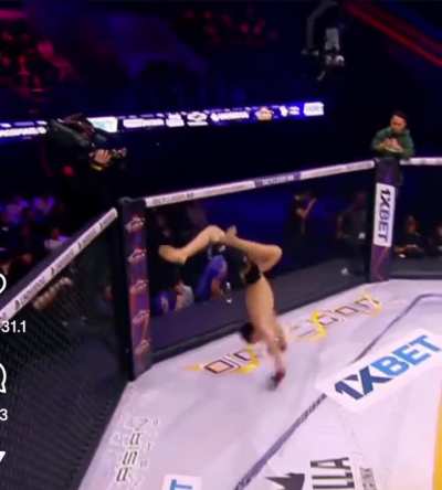 celebration scorpion