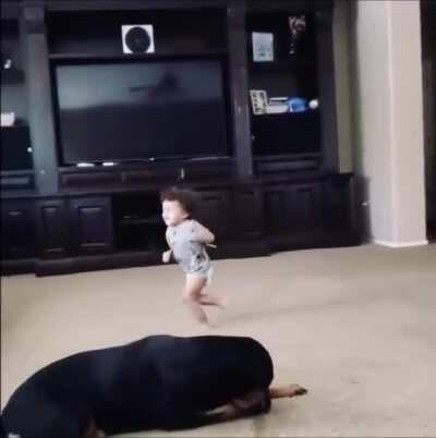 HMJB while NERF bullets rain down