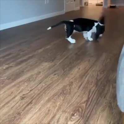 Sweeping the floor or helicopter?