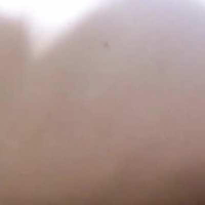 Hollywood Babes Getting Sucked