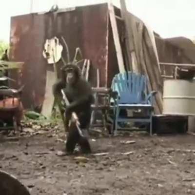 Wow only Say Sena can save Afghanistan ☝🏻