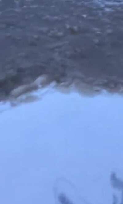 Tide freezing on impact