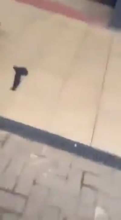 Security guards don&rsquo;t not get paid enough to deal with this!! 