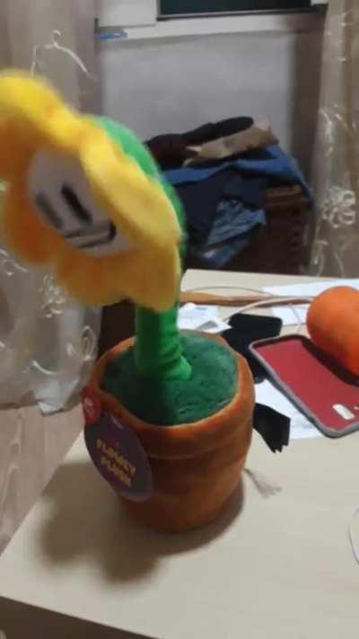 Finally he has arrived :D