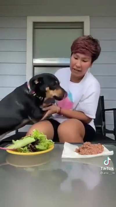Blursed_vegandog
