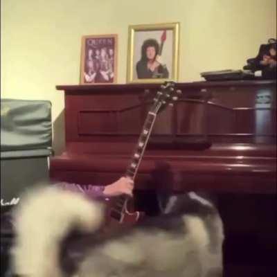 To live stream a song