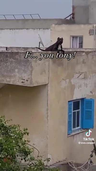 THIS VERY FUNNY DISCIPLINE IS THE KEY OF LIFE