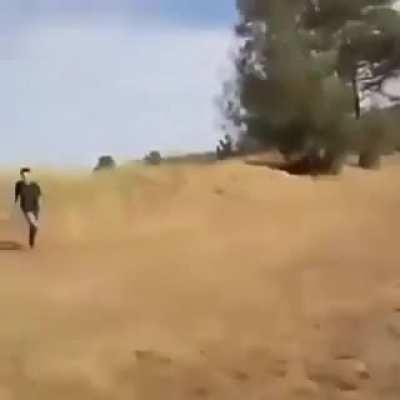 Oe weon eri terrible maraco