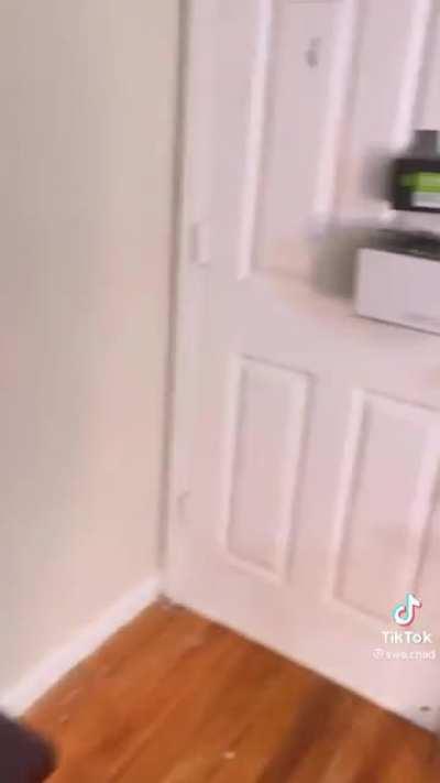 Most sane tiktok cybersecurity expert