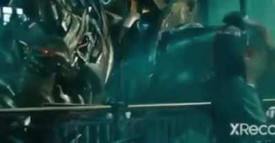 What the dog doin tho😳