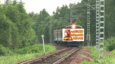 Reddit MEME review let's goo