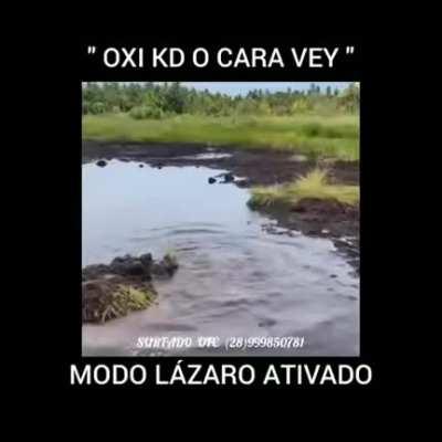 HUEstation - Video #5049