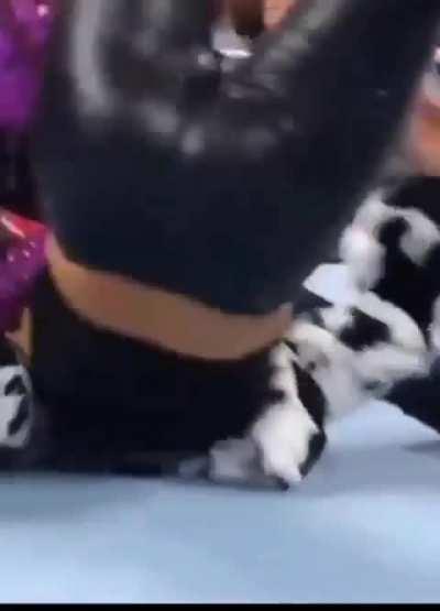 🍑🍑🍑🍑🍑🍑🍑🍑