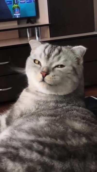 High quality live-action scrunge!