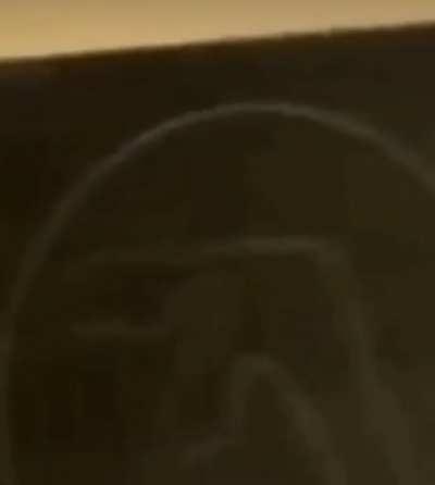 Moldy perfect circle