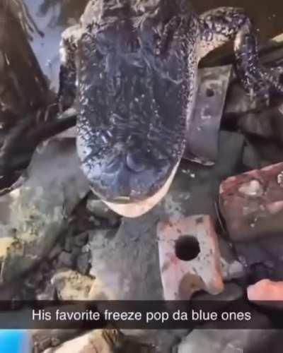 Swag giver spotted in non swag giver territory (Swag givers arent human)