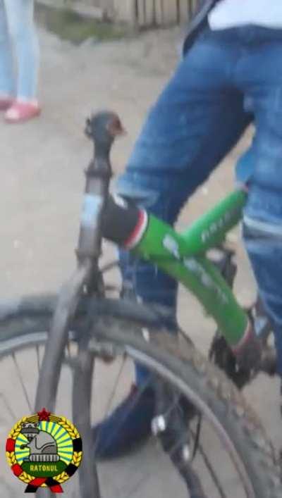 Ii arata tiganu o schema