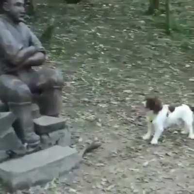 Hey man come on play with me