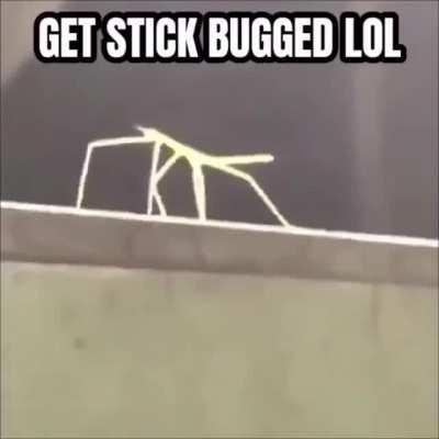 Bro... Thats beautiful..