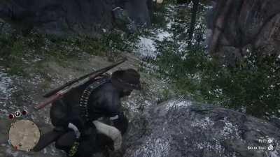 Some horses don't like living