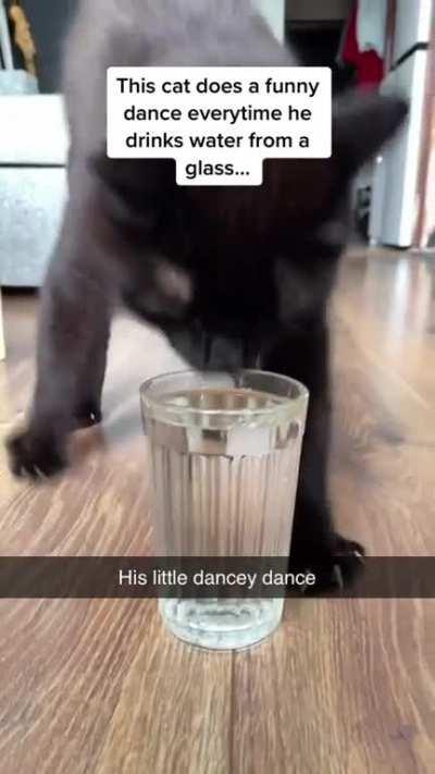Kitty does a happy dance when he gets his H2O