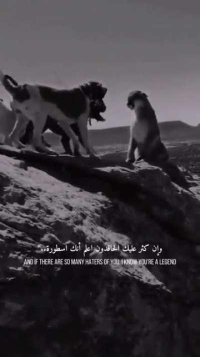 Окружон но не сломлен