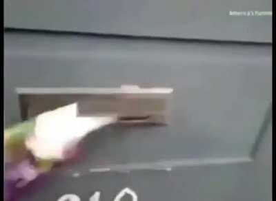 Awkward delivery. Kitty doesn't want mail, kitty demands human sacrifice..