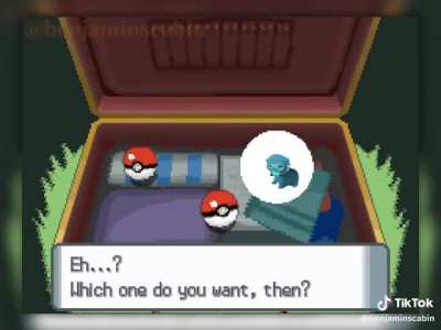 Wunky starter wunkemon