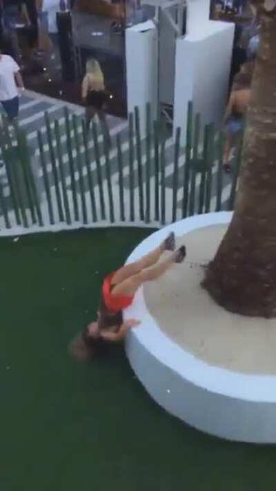 She try to get up on the tree..