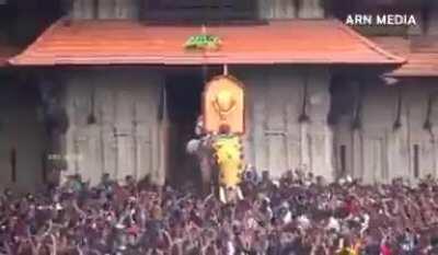India tallest Elephant- 56 years “Raman” commencing the Thrissur pooram festival by opening the door of the Vadakkumnathan Temple
