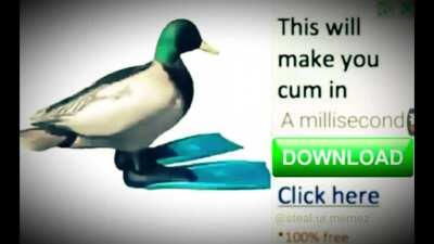 100% can tell you it works ;)