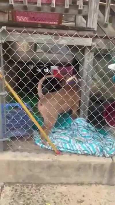 She woke up and chose violence