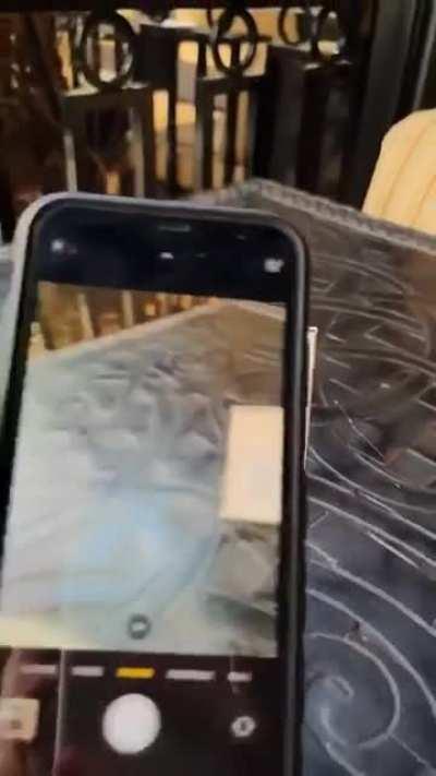 Now this guy is following proto