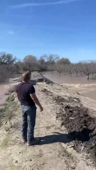 Farmer drives 2 trucks loaded with dirt into levee breach to prevent orchard from being flooded