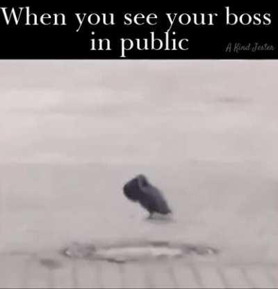 The world praises the man